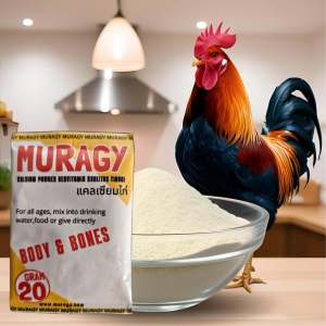3 sachet Muragy kalsium ayam unggas pembentukan dan kekuatan tulang otot dan saraf zeorfarm