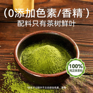Zhanyi Pure Sugar-Free Matcha Powder 100g – For Latte Baking and Desserts