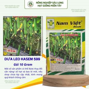 Hạt Giống Dưa Leo F1 Kasem 599 Trái Sai – 10g – Nam Việt Seeds