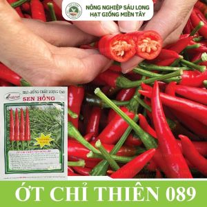 SH089 - GÓI 1200 HẠT GIỐNG ỚT CHỈ THIÊN SEN HỒNG 089