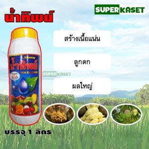 น้ำทิพย์ ยี่ห้อ แม็กซาโก้ ธาตุอาหารเสริม โบรอน10% ช่วยผสมเกสร เนื้อแน่น ลูกดก ลูกใหญ่ ขนาด 1 ลิตร