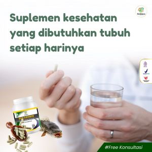 Dekabumin – Kapsul Ikan Kutuk Premium Untuk Mengobati Luka Obat Diabetes