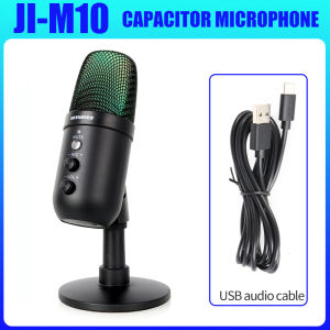 RAYHAYES USB Microphone Professional Recording Dubbing Condenser Microphone Computer Broadcast Mic