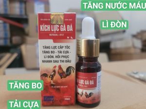Kích lực gà đá buta+ B12 :10ml