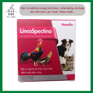 LincoSpectina - Hỗ trợ viêm tiêu hóa khớp hô hấp cho chó mèo gà đá chim cảnh