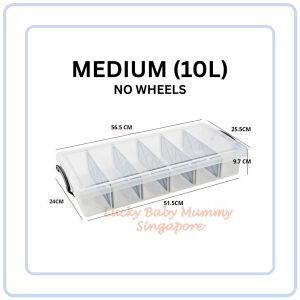 【Pure Care】 Transparent Compartment Storage Box With Lid/Underbed Large Capacity Organizer with wheels