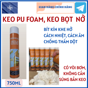 (Chai 750ml) Chai Xịt PU Foam Keo Bọt Nở Bịt Kín Lổ Cách Âm Cách Nhiệt Chống Thấm Rockiya/Fanxifoam/ Apollo/Xtraseal (1500ml)