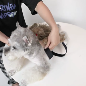 Cats Dog Funny Spiders Cosplay Animal Costume Arachnid Soft Comfortable Costume Accessories Dress Up