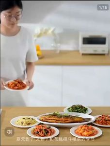 OHHDEER Foldable Large Food Mesh Cover Fly Anti Mosquito Food Covers Umbrella Protect Vegetable Breathable Cover