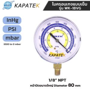 DSZH ไมครอนเกจแบบเข็ม รุ่น WK-18VG ขนาดหน้าปัด 80mm ขนาดเกลียว 1/8" NPT