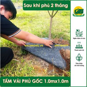 Tấm Vải Phủ Cỏ 1mx1m