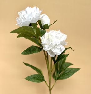 Hoa Mẫu Đơn Màu Cam Pastel Bông To 15cm 2 Bông 1 Nụ/Cành Dài 75cm Cam Kết Giống Thật - Hoa Lụa Trang Trí Nhà Cửa Văn Phòng