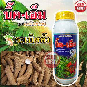 ยาบำรุงมัน ระเบิดหัวมัน ใส่แล้วมันหัวใหญ่ มันหัวโต เพิ่มขนาดหัว บิ๊คเอ็ม เพชรตัดเพชรเฮด บรรจุ 1 ลิตร