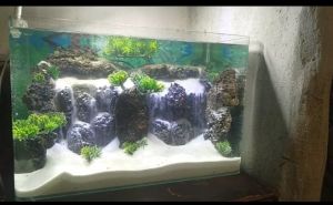 Thác cát suối cát hồ thủy sinh