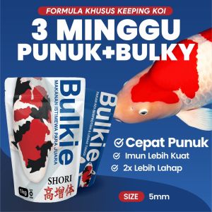 PAKAN IKAN KOI SAC BULKIE PELET KOI IMPORT VIETNAM PREMIUM MEMPERCEPAT PEMBESARAN PROTEIN TINGGI 5MM 52%