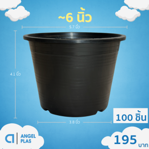 กระถาง กระถางต้นไม้ จานรองกระถางต้นไม้ 5 5.5 5.7 6 นิ้ว สีดำ ยกมัด 50 100 200 ใบ