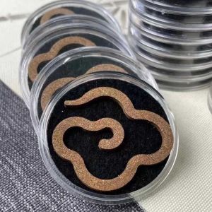 10pcs Green Qi Nan Agarwood Incense - Daxiangyun Non-Sticky Powder Coil Incense for Home Indoor Use