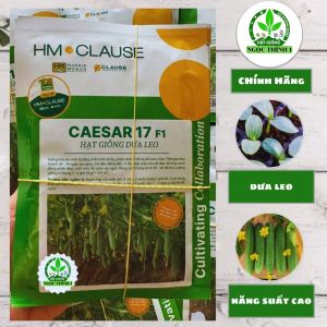Hạt Giống Dưa Leo Lai F1 CAESAR 17 HM.CLAUSE (Gói 10gr) - Bao Bì mới