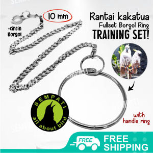 SEMPATI Rantai Burung Kakatua 10mm Fullset Borgol Ring Rantai Gelang Kaki Burung Beo Nuri Betet Rantai Latih Training Burung Jinak Rantai Free Flying Burung