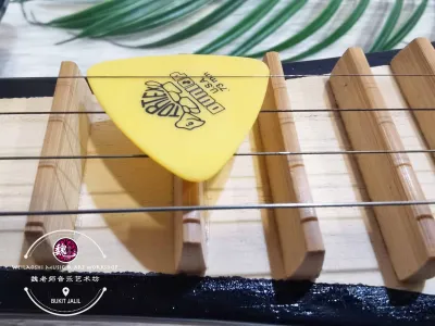 Liuqin Color Pick 柳琴 颜色弹片拨片