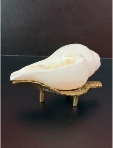 Original Lakshmi Sacred Sangu Conch Shell Blowing Shankh ( White) & valampuri Sangu for Pooja With Stand