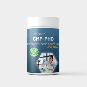 ATP Farm : CMP - PHO Bào tử Vi sinh quang hợp Photosynthetic bacteria cố định nitơ phân giải chất hữu cơ
