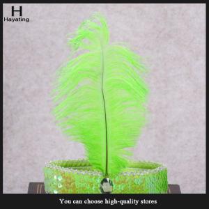 Hayating 1PC Cute Feather Headband Flapper Sequin Headpiece Costume Head Band different colors Party Favor