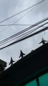 kulit ayam crispy pedas daun jeruk 250 gram