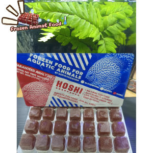 ไรฝุ่นแช่แข็ง ไรแดง HOSHI  อาหารปลา อาหารลูกปลา ส่งเร็ว ราคาพิเศษ  3 แพ็ค  แถมฟรี ถุงเก็บความเย็น เจลเย็น