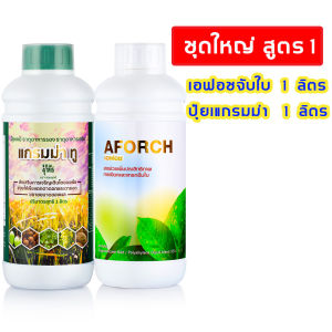 เอฟอช แกรมม่าทู Aforch ปุ๋ยน้ำ แตกยอดใบอ่อน ใบเขียวเข้ม เร่งดอก เร่งผล เอฟอช สารจับใบ 1 ลิตร + แกรมม่าทู 1 ลิตร ดูดซึมเร็ว เปียกทั่วใบ