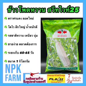 ศรแดง ข้าวโพดหวาน สวีทไวท์ 25 (ขนาด 1 กก) หมดอายุ 08/03/2570 จำนวน 5000 เมล็ด ลอตใหม่ ข้าวโพด เมล็ดสีขาว รสชาติเหนึยว นุ่ม อร่อย ขายง่าย ตลาดต้องการ