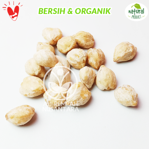 Kemiri Bulat 1kg Super Grade A