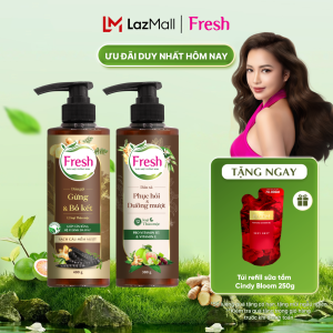 [Phiên bản cao cấp] Combo Dầu gội + Dầu xả Fresh Thảo mộc dưỡng sinh Sạch gàu mềm mượt 480g + Phục hồi và Dưỡng mượt tóc hư tổn 380g