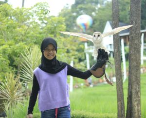 bingkai foto uk 30x40cm/frame/figura/hiasan dinding