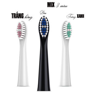 Cho máy Simplus IPX7 DDYS002 chân cắm nhựa Boorui Set 2 đầu bàn chải đánh răng điện Minh House