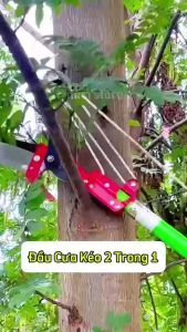Kéo Cắt Cành Trên Cao Đầu Kéo Tỉa Cành Cây Trên Cao - Hái Quả - Kết Hợp Cưa Cây Rất Hiệu Quả - TIỆN DỤNG