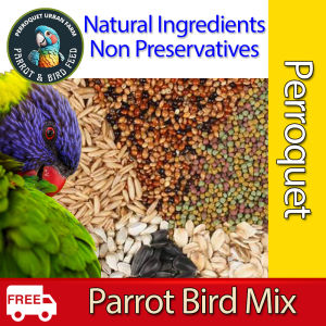 Perroquet Jonsanty Parrot Food Seed Mix Formulated Pellet Pet Bird Diet Small Medium Parrot