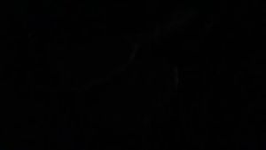 Pedicure Foot File Callus Remover Stainless Steel Foot Scraper Portable Rasp Colossal Foot Grater Scrubber For Feet