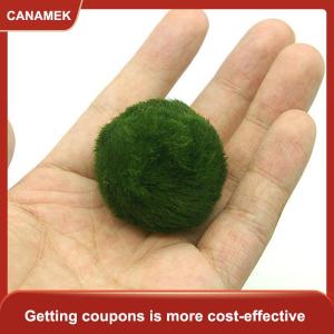 【CANAMEK】 3-4cm Marimo Moss Balls Live Aquarium Plant Algae Fish Shrimp Tank Ornament Simulation Green Algae Balls Artificial Plant
