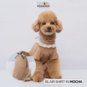 Pomapoo - Baju Kucing dan Baju Anjing Blair Shirt