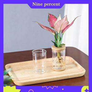 Nine percent Chậu hoa lười trong suốt Chậu Hoa Thủy Canh tự động hút nước