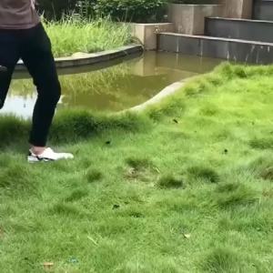 Family Charcoal Grill Stove Outdoor Full Set Folding BBQ Grill Portable Outdoor Portable Car Barbecue Stove Thickened