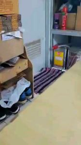 FORTIS AUTOMATIC 25 JEWELS SWISS MADE Fortis นาฬิกา - Lazada