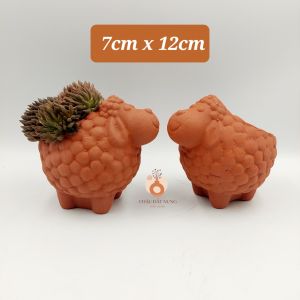 Chậu đất nung chậu sen đá - Cừu nhi đồng miệng chậu 7cm chiều cao 12cm
