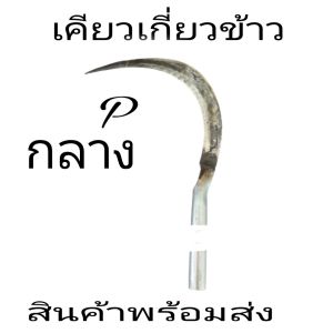 เคียว เคียวเกี่ยวข้าวเคียวเกี่ยวหญ่ (10 ครั้ง) ใหญ่ - ราคาถูกสุดๆ คม ถูกพัฒนาด้วยเล็กลางใหญ่ของเหล็กดี มีความมั่นใจสูงสุด!