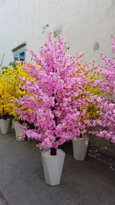 CÂY HOA MAI HOA ĐÀO CỔ GIẢ CÂY HOA HỒNG TỬ ĐẰNG CÂY SI CÂY CÁ PHONG CÂY HOA GIẤYTHÂN GỖ TỰ NHIÊN TRANG TRÍ NHÀ SỰ KIỆN CỬA HÀNG QUÁN CAFE TRUNG TÂM THƯƠNG MẠI