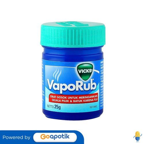 Vicks Vaporub Box 25 Gram | Lazada Indonesia