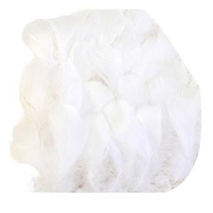 Gói 100 Đầy Màu Sắc Lông Quyến Rũ Cho Tự Làm Dự Án Tự Nhiên Lông Trang Trí Cho Bùa bắt giấc mơ Và Bông Tai