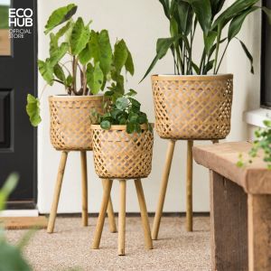 Giỏ tre trồng cây ECOHUB Bằng tre tự nhiên 3 Size decor trang trí chụp ảnh trưng bày sang trọng (chậu trồng cây) | EH015