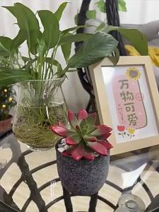 Outdoor Hanging Basket Rattan Chair Indoor Balcony Home Swing Rocking Chair Double Outdoor Courtyard Hammock Hanging Chair Lazy Hammock